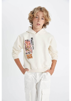 Resim Defacto Erkek Çocuk  Sweat C9824A8/ER103