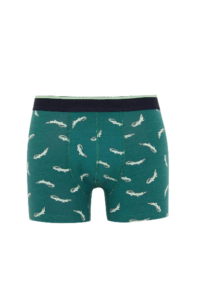 Resim Defacto Erkek Boxer&Külot Z6137AZ/GN651