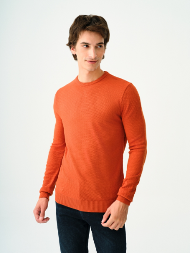 Resim Loft Erkek Kazak LF2030179