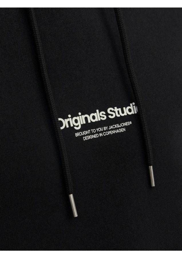 Resim Jack & Jones Jorvesterbro Sweat Hood Noos Erkek Sweat 12241687