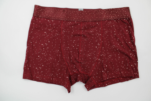 Resim Yenikoza Erkek Boxer