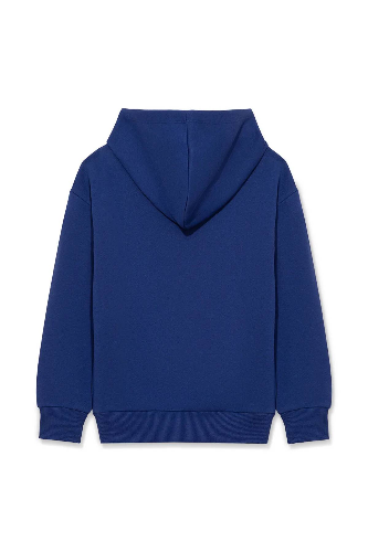 Resim Mavi Miav Baskılı Kapüşonlu Erkek Çocuk Sweat M6S10028-70722