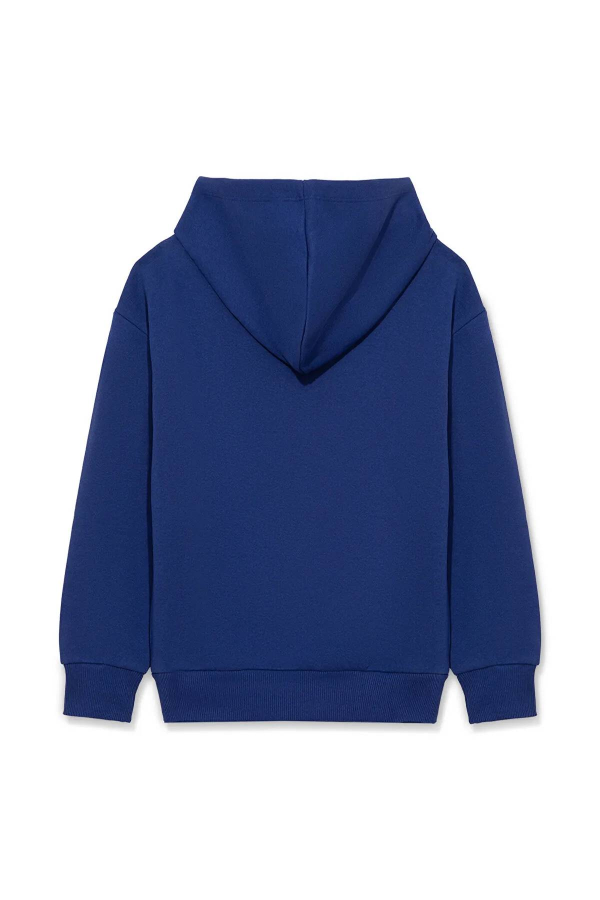 Resim Mavi Miav Baskılı Kapüşonlu Erkek Çocuk Sweat M6S10028-70722