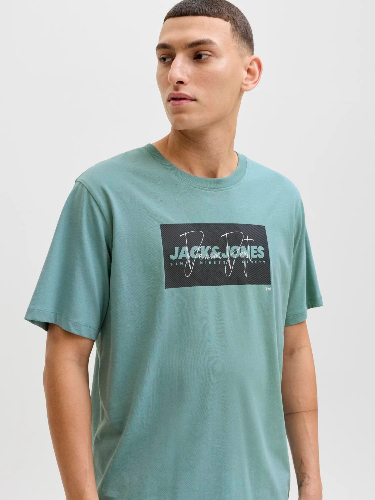 Resim Jack & Jones Jjcole Prınt Tee Ss Crew Neck Ln Erkek T-Shirt 12288492