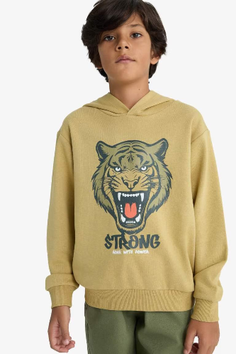 Resim Defacto Erkek Çocuk  Sweat F2859A8/KH258