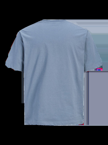 Resim Jack & Jones Jjearchıve Graphıc Tee Ss O-Neck Noos Erkek T-shirt 12287990