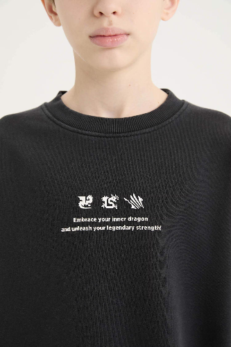 Resim Defacto Erkek Çocuk  Sweat D8494A8/BK81