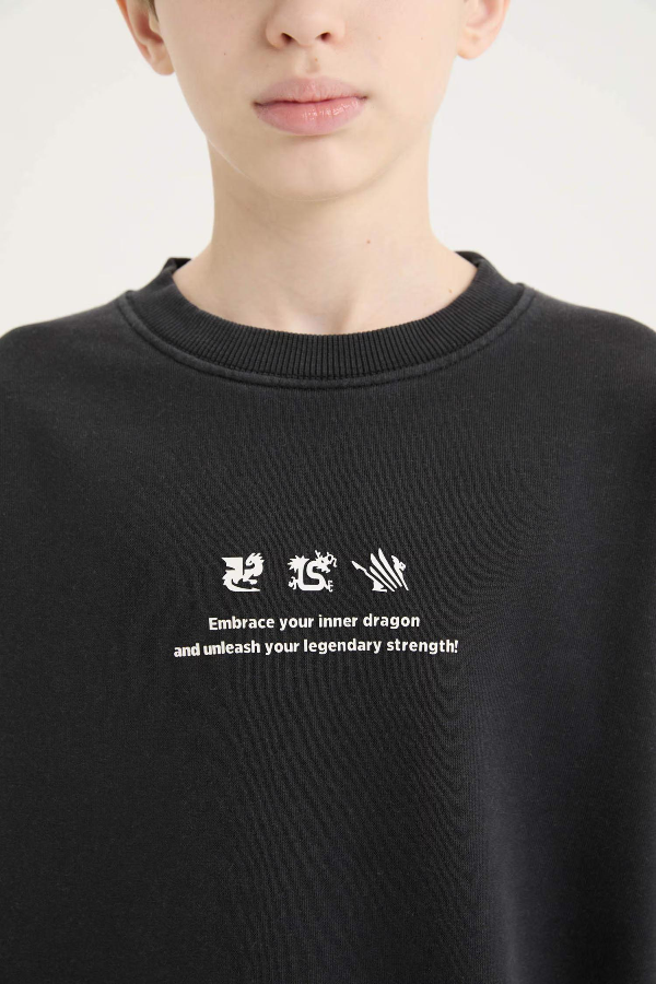 Resim Defacto Erkek Çocuk  Sweat D8494A8/BK81