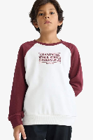 Resim Defacto Erkek Çocuk  Sweat F2707A8/ER136