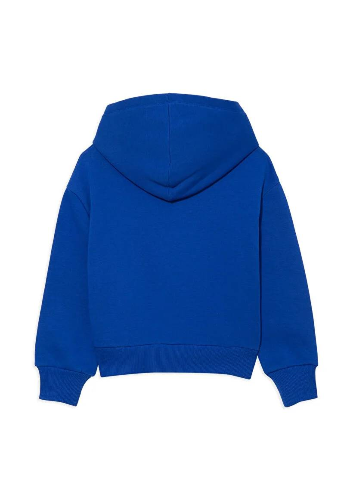 Resim Mavi Baskılı Kapüşonlu Erkek Çocuk Sweat M6610110-70896