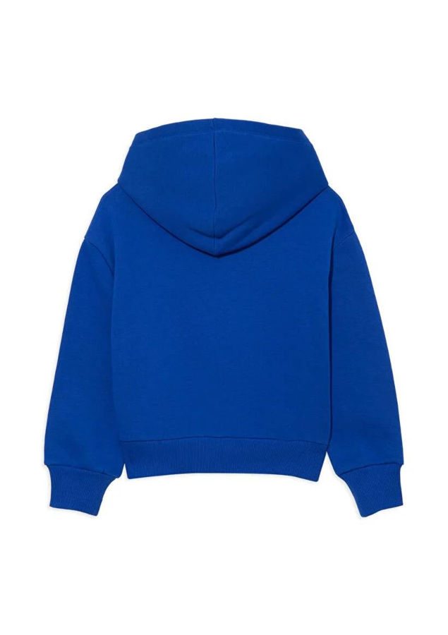 Resim Mavi Baskılı Kapüşonlu Erkek Çocuk Sweat M6610110-70896