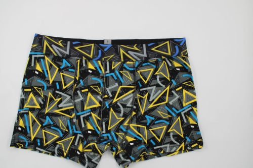 Resim Yenikoza Erkek Boxer