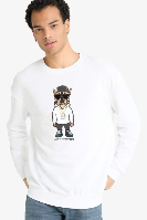 Resim Defacto Erkek  Sweat E9331AX/WT34