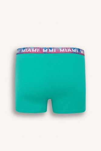 Resim Defacto Erkek Boxer&Külot D9874AX/NV135