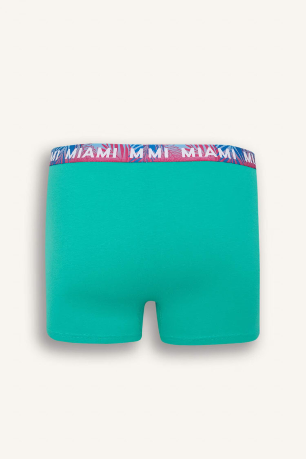 Resim Defacto Erkek Boxer&Külot D9874AX/NV135