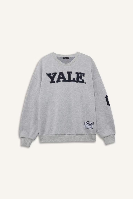 Resim Defacto Kadın  Sweat F9527AX/GR210