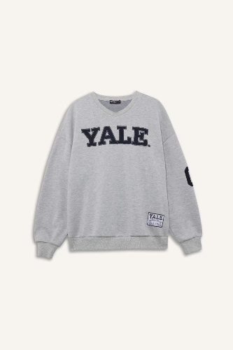 Resim Defacto Kadın  Sweat F9527AX/GR210