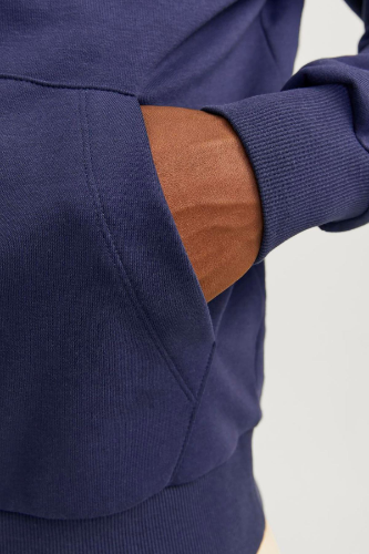 Resim Jack & Jones Jjecaleb Varsıty Sweat Hood Noos Erkek Sweat 12256521