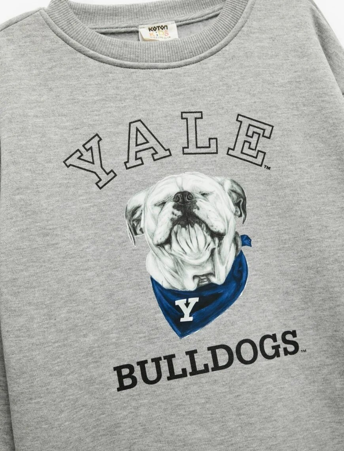 Resim Koton Erkek Çocuk Sweat 6WKB10024TK