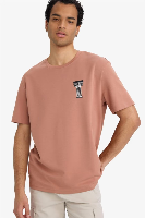 Resim Defacto Erkek T-shirt F9682AX/BR496