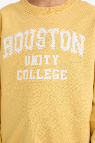 Resim Defacto Erkek Çocuk Sweat G6170A8/YL502