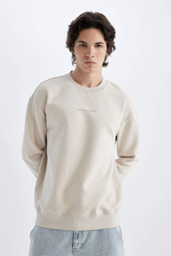 Resim Defacto Erkek  Sweat X8282AZ/BG766
