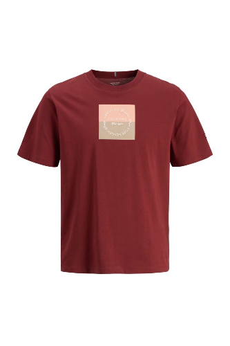 Resim Jack & Jones Jorcatskılls Square Brandıng Tee Ss Cn Erkek T-Shirt 12290856