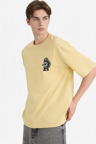 Resim Defacto Erkek T-shirt F8024AX/YL166