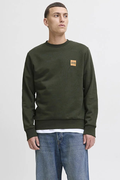 Resim Jack & Jones Jjbrandy Sweat Crew Neck Ln Erkek Sweat 12279256