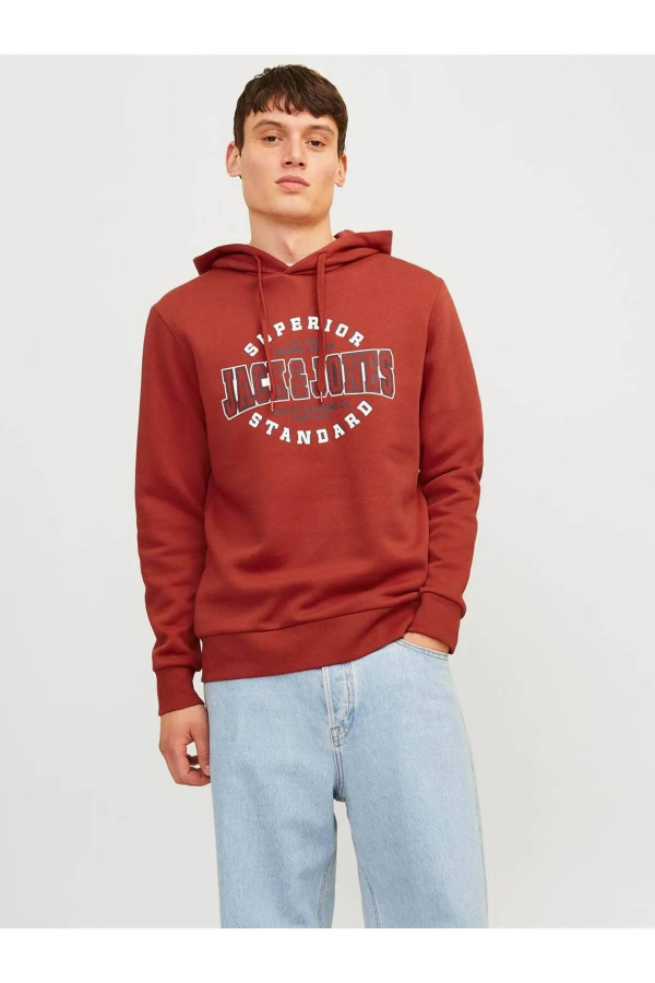 Resim Jack & Jones Jjelogo Sweat Hood 2 Col 24/25 Noos Erkek Sweat 12255617