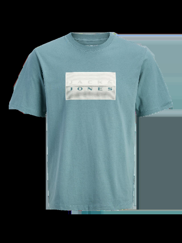 Resim Jack & Jones Jcofusıon Dots Prınt Tee Ss Crew Sn Erkek T-Shirt 12289863