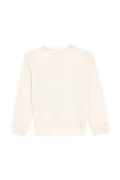 Resim U.S. Polo Assn. Erkek Çocuk Sweat 1945952 Cemıles