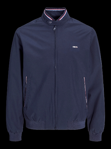 Resim Jack & Jones Jprblubrad Bomber Jacket Sn Erkek Ceket 12273393