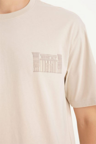 Resim Defacto Erkek T-shirt F8030AX/BG74