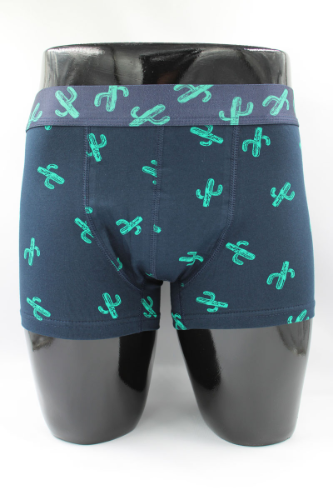 Resim Yenikoza Erkek Boxer