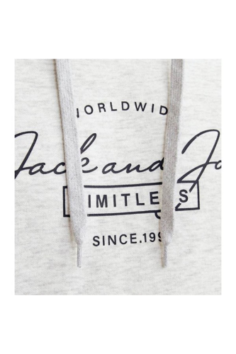 Resim Jack & Jones Jjferrıs Sweat Hood Erkek Sweat 12256838