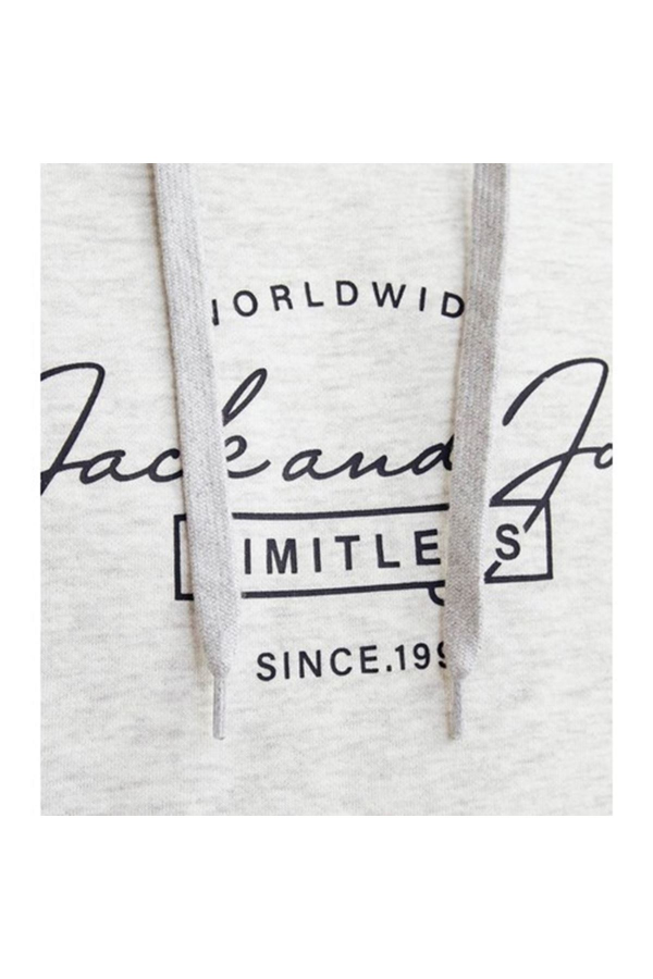 Resim Jack & Jones Jjferrıs Sweat Hood Erkek Sweat 12256838