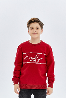 Resim Yenikoza Erkek Çocuk Sweat