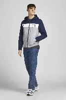 Resim Jack & Jones Jjerush Hood Bomber Noos Erkek Mont 12200208