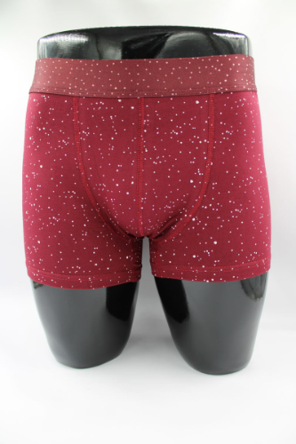 Resim Yenikoza Erkek Boxer