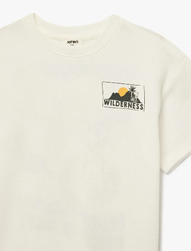 Resim Koton Erkek Çocuk T-shirt 6SKB10053TK
