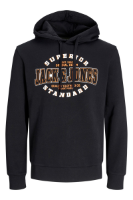 Resim Jack & Jones Jjelogo Sweat Hood 2 Col 24/25 Noos Erkek Sweat 12255617
