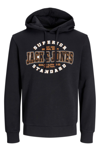Resim Jack & Jones Jjelogo Sweat Hood 2 Col 24/25 Noos Erkek Sweat 12255617