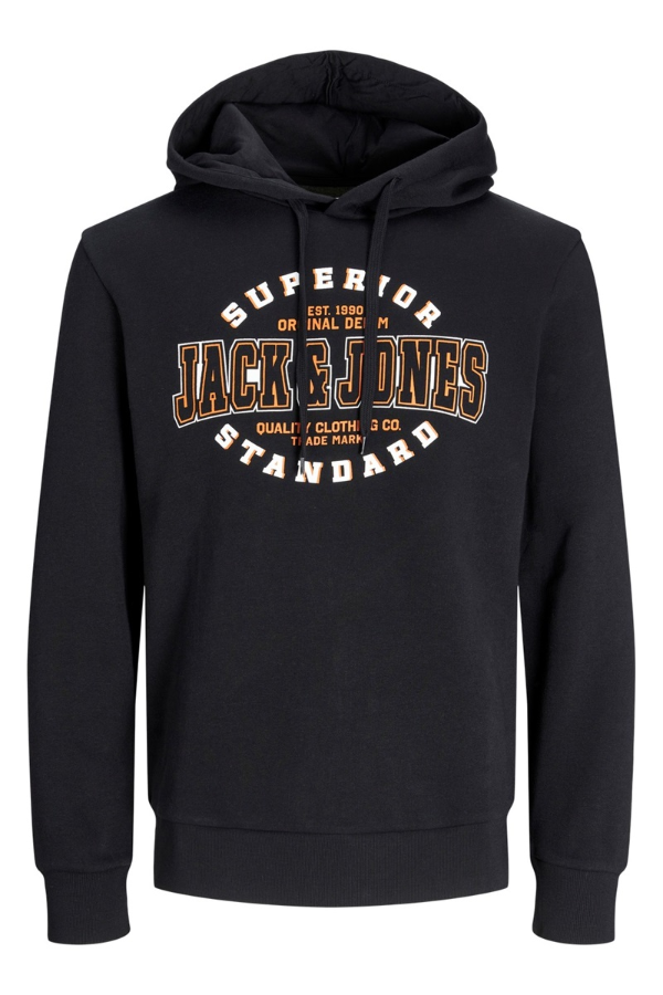 Resim Jack & Jones Jjelogo Sweat Hood 2 Col 24/25 Noos Erkek Sweat 12255617
