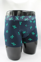 Resim Yenikoza Erkek Boxer