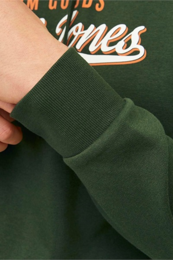 Resim Jack & Jones Jjelogo Sweat Hood 2 Col 24/25 Noos Erkek Sweat 12255617
