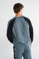 Resim Hummel Hml Royce  Erkek Sweat 922430-7319