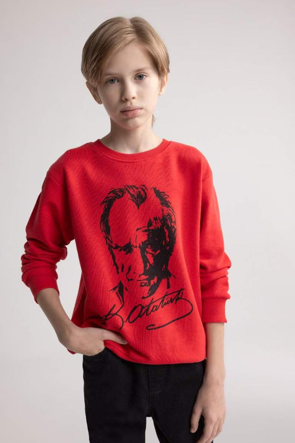 Resim Defacto Erkek Çocuk  Sweat D8202A8/RD117