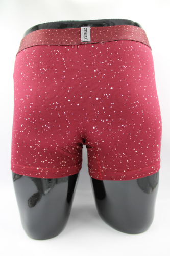 Resim Yenikoza Erkek Boxer