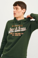 Resim Jack & Jones Jjelogo Sweat Hood 2 Col 24/25 Noos Erkek Sweat 12255617